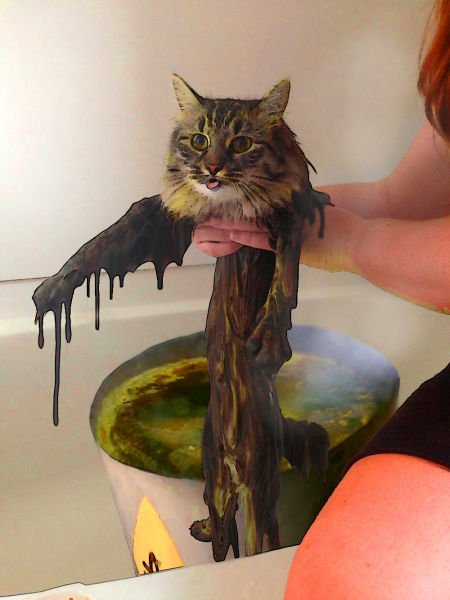 Фотожабы на мокрого кота (26 шт)