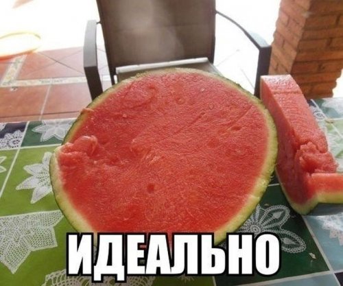 Картинки - смешинки (64 шт)