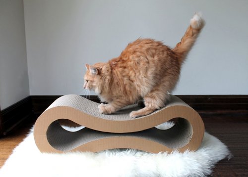 Оригинальная мебель и аксессуары для кошек (35 фото)