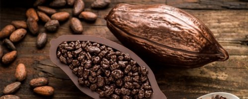 Топ-25 фактов про вкуснейший шоколад