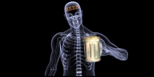 Топ-25 интересных фактов про пиво, которые вас опьянят
