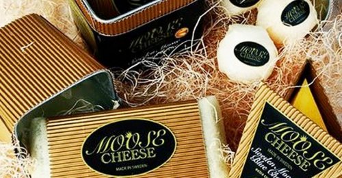 Топ-9 самых дорогих сыров в мире