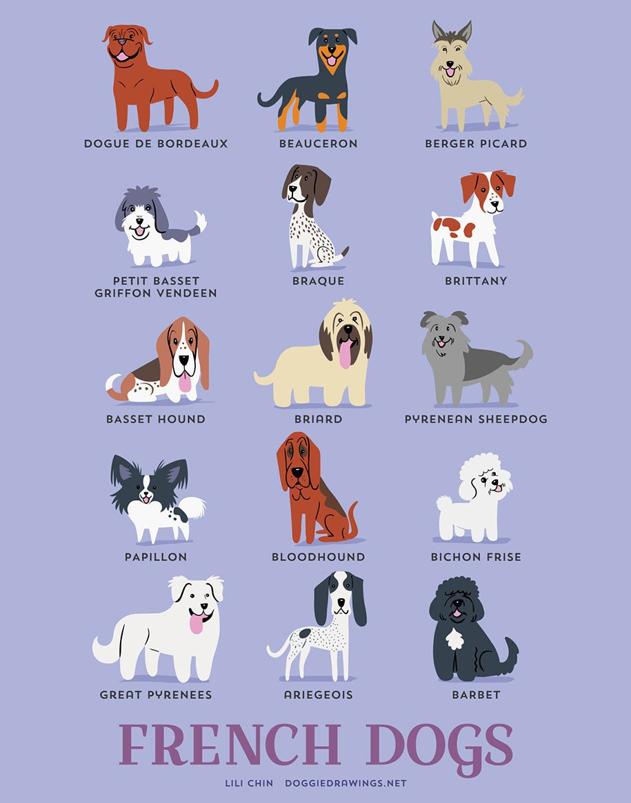 Породы собак и их названия