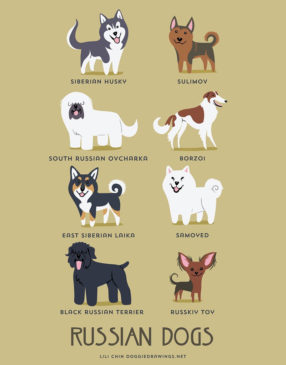 Разные породы собак