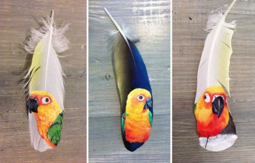 Удивительные рисунки на птичьих перьях (12 фото)