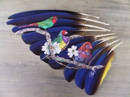 Удивительные рисунки на птичьих перьях (12 фото)