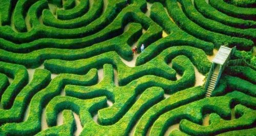 Longleat Hedge Maze: самый длинный в своём роде лабиринт в мире (8 фото)