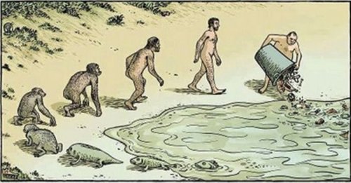 Эволюция человечества в прикольных картинках (13 шт)