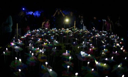 В Португалии прошёл фестиваль света Lumina-2014 (13 фото)