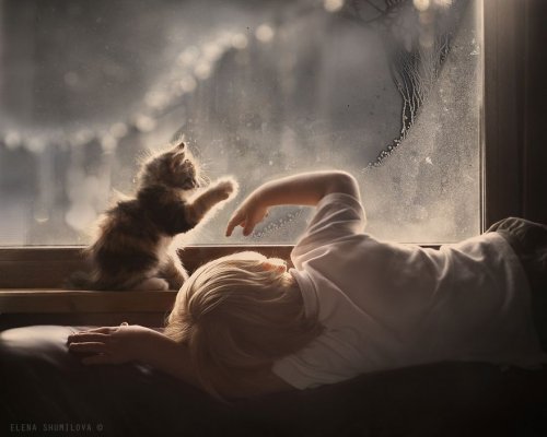 Снимки, греющие душу: малыши и кошки (20 фото)