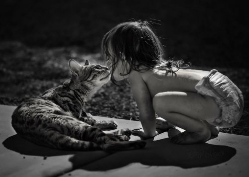 Снимки, греющие душу: малыши и кошки (20 фото)