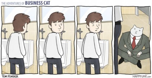Комиксы про делового кота (18 шт)