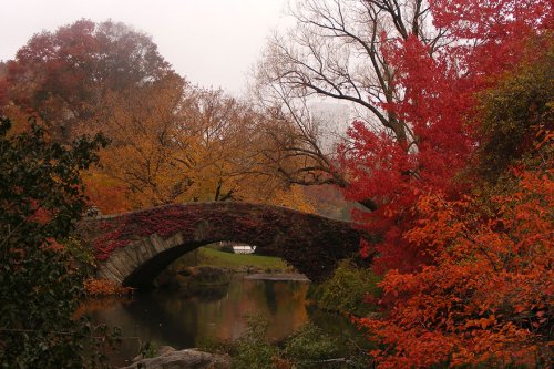 Осеннее преображение природы в фотографиях (23 фото)