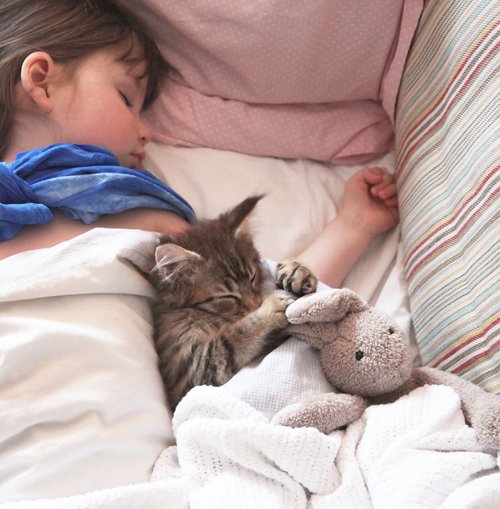 Задушевная дружба 5-летней девочки, страдающей аутизмом, и её терапевтической кошки (23 фото)