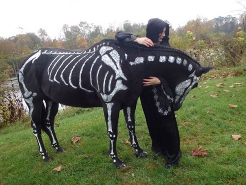 Ужасно прелестные костюмы на Хэллоуин для ваших питомцев (26 фото)