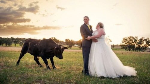 Топ-10 самых оригинальных свадебных фотографий
