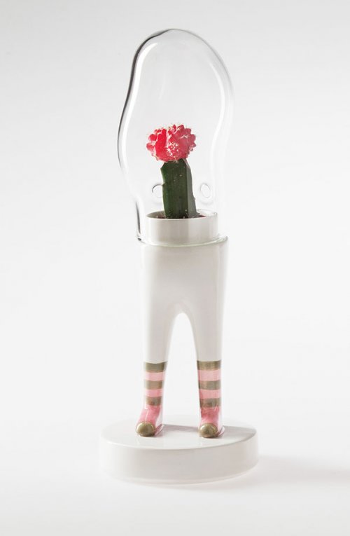 Террариумы для растений на ножках от Маттео Чибика (12 фото)