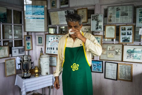 Процесс приготовления самого дорогого индийского чая (17 фото)