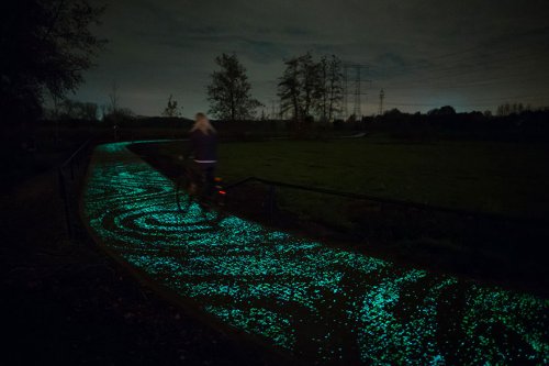 Светящаяся в ночи велосипедная дорожка, вдохновлённая картиной Ван Гога "Звёздная ночь" (8 фото)