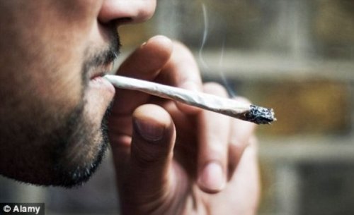 Топ-25 любознательных фактов про марихуану, которые не знает большая часть людей