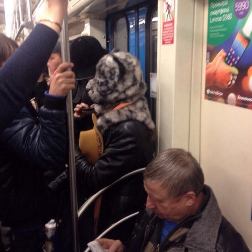 Модники московского метро (30 фото)