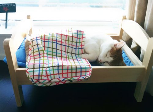 Японцы превращают кукольные кроватки от ИКЕА в спальные места для своих кошек (15 фото)