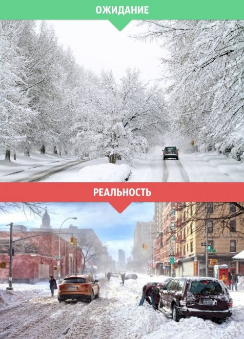 Зима: ожидания vs. реальность (14 фото)