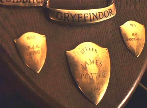 Топ-25 фактов про Гарри Поттера, которые сшибут вас с метлы