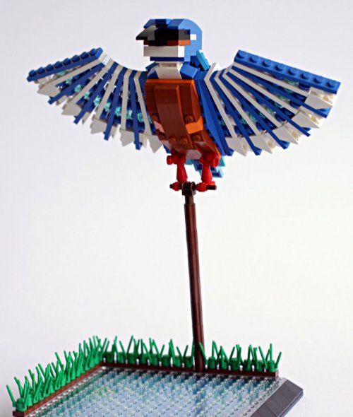 Птицы из LEGO, созданные Томом Полсэмом (20 фото)
