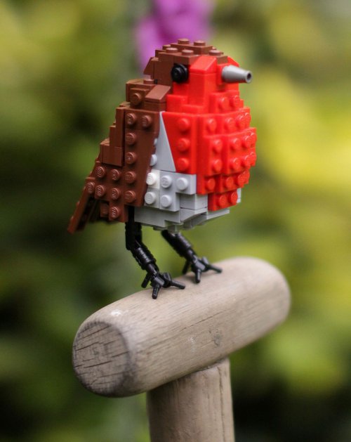 Птицы из LEGO, созданные Томом Полсэмом (20 фото)