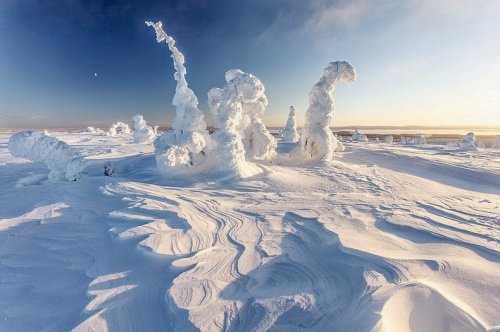 Зима в Национальном парке Рииситунтури (8 фото)