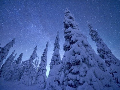 Зима в Национальном парке Рииситунтури (8 фото)