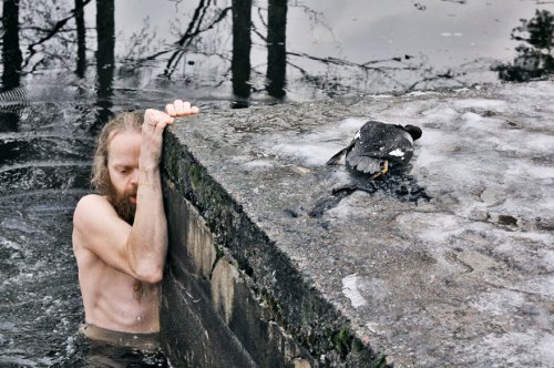 Норвежский парень спас тонущую утку из ледяного плена (7 фото)