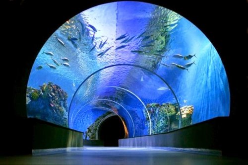 Потрясающий океанариум "The Blue Planet" в Дании (18 фото)