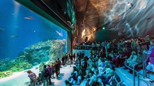 Потрясающий океанариум "The Blue Planet" в Дании (18 фото)