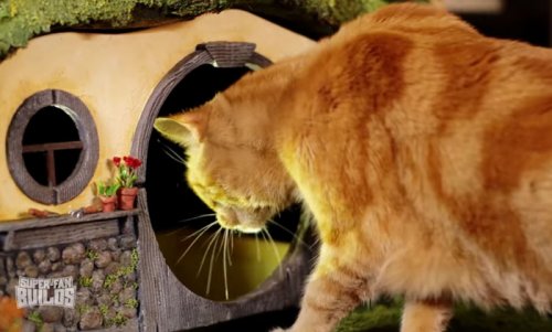 Кошачий туалет «Властелин колец» и когтеточка Саурон для котов (16 фото + видео)