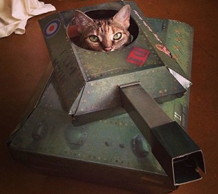 Кошки в танках (15 фото)