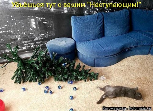 Новогодняя котоматрица (36 фото)