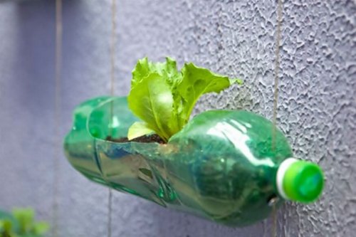 Топ-25: Гениальные креативные творения из пластиковых бутылок