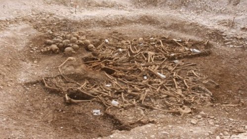Топ-25: Самые значительные археологические открытия в истории человечества