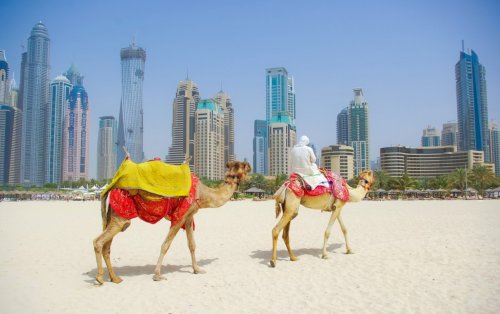 Топ-10: Невероятные факты про Дубай
