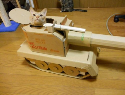 Кошки в танках (15 фото)