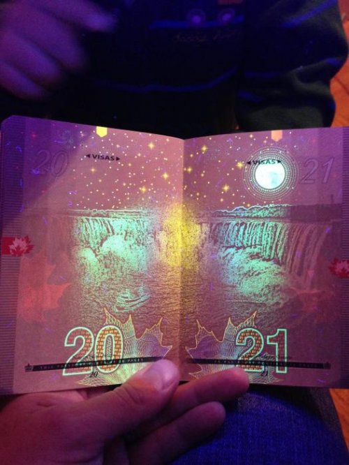 Новый канадский паспорт в ультрафиолете (16 фото)