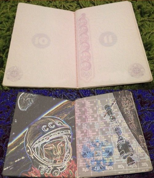 Новый российский паспорт в ультрафиолете (7 фото)
