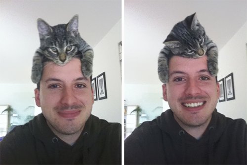 Кошки вместо шапок (29 фото)