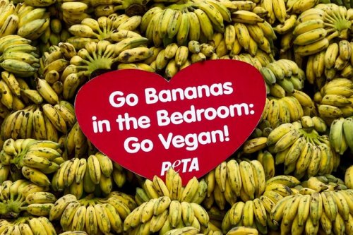 Скажем «Да!» бананам! (8 фото)