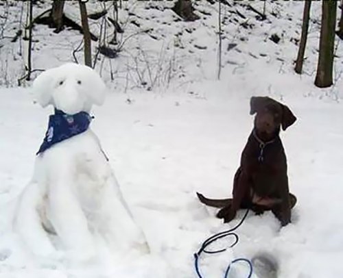 Снеговики, похожие на домашних животных (11 фото)