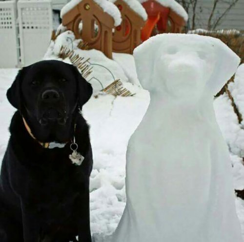 Снеговики, похожие на домашних животных (11 фото)