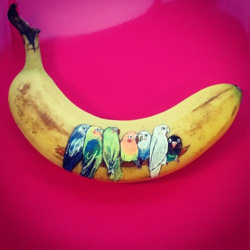 Забавные бананы художницы Элизы Рош (13 фото)