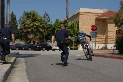 Приключения велосипедиста, решившего проехать по полицейской машине (13 фото)